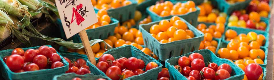 Farmers Markets, Farm Fresh Produce, Baked Goods, Honey in the Quakertown, Bucks County PA area