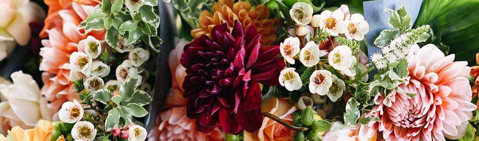 Florists, Floral Arrangements, Bouquets in the Quakertown, Bucks County PA area